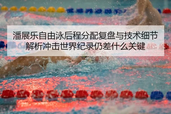 潘展乐自由泳后程分配复盘与技术细节解析冲击世界纪录仍差什么关键
